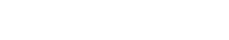 03 Internet Computer Logo horizontal HEX white (2)